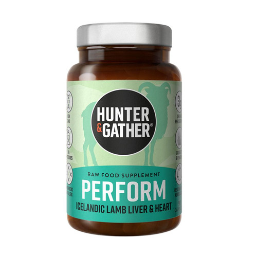 Hunter gather perform wild - hunter,